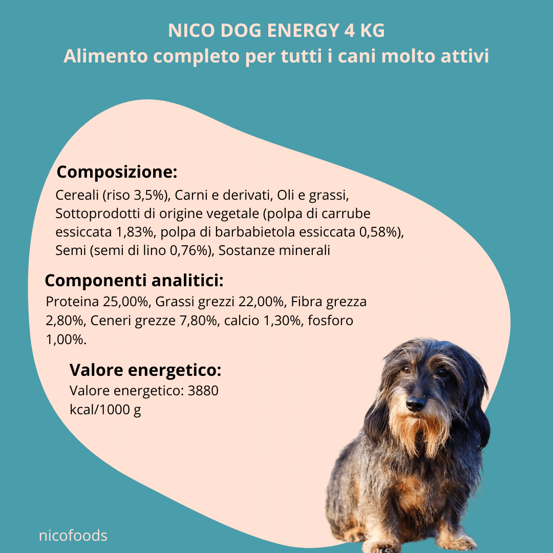 NICO ENERGY KG 4 - immagine 3
