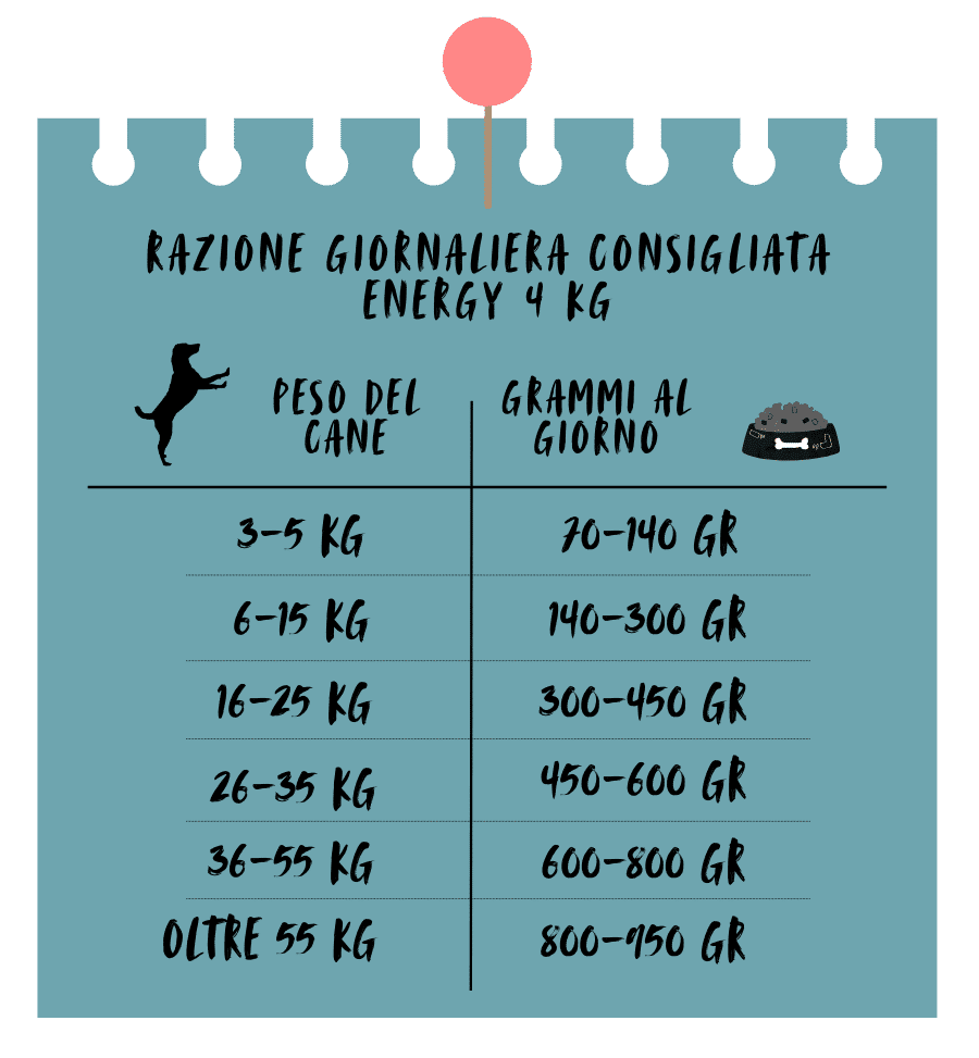 NICO ENERGY KG 4 - immagine 5