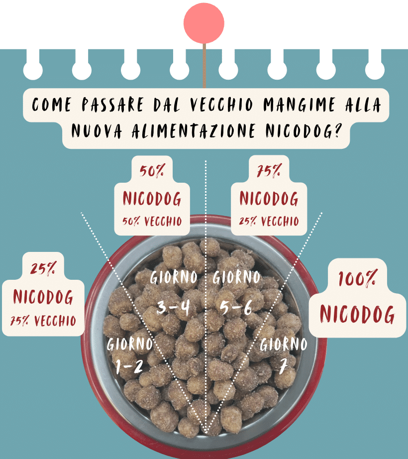 NICO RICE and HORSE 15 KG - immagine 6