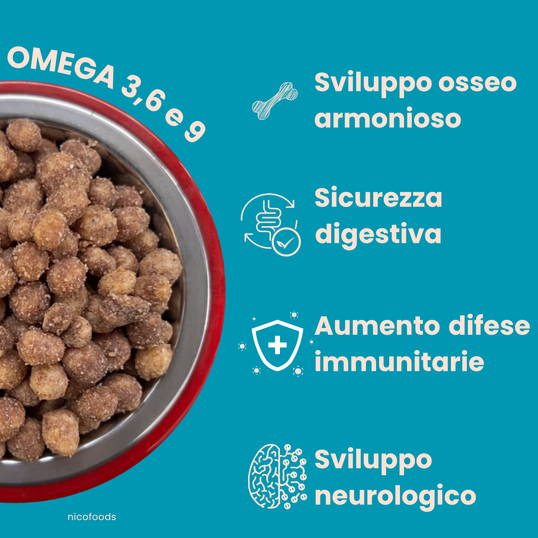 NICO FISH 4 KG - immagine 4