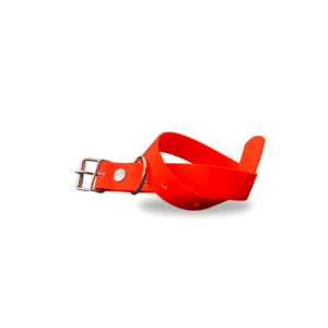 COLLARE NEON ARANCIONE